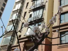 满五唯一,精装修,三室两卫,山景好,有车位,好楼层