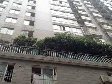 五一华府 湘江之星 国金 平和堂 零食很大 潜力无限