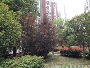 彩都2室2厅南