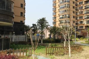 曙光泊岸北区业主自住装修小区内人车分流湘江风光带旁