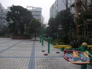 兴城丽景3室2厅东南