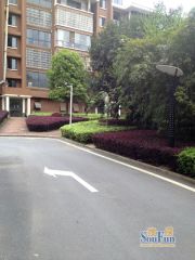 麓山慧苑5室3厅南