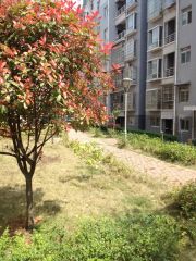 锑都家园3室2厅南北