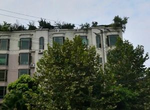 锦西花园三期 5室2厅 东南