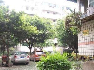 武侯民居3室2厅东南