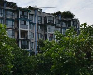 紫桂花园 2室1厅 东南