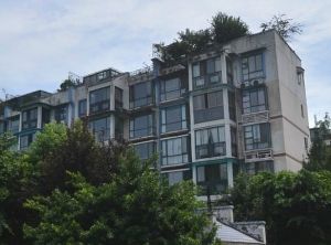 紫桂花园 4室1厅 东南