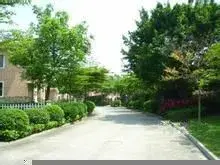 海悦花园临湖双首层独栋别墅 两层花园约800平有地下室