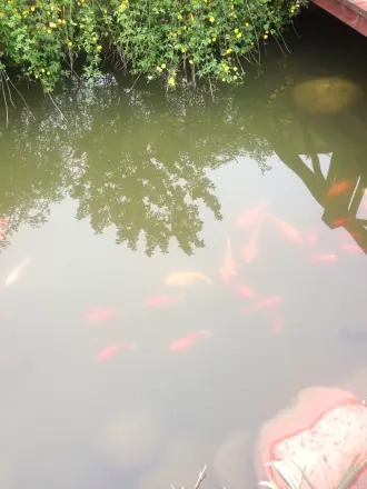 御邦