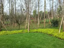 轻轨正规大两房,配套设施成熟,交通方便