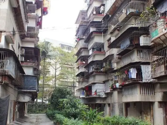 西凤新村