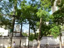 三室两厅两卫 外挂电梯 户型方正 南北通透