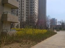 名嘉汇精装元宝户型俯瞰大海和唐岛湾