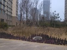 高楼层 视野好 带车位 精装修 全天采光 名嘉汇