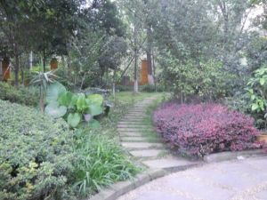 怡馨花园A区 3室1厅 东南