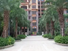 置信逸都丹郡A区 2室1厅 东