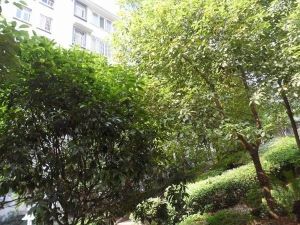 烟草宿舍3室1厅南北