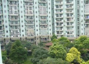 精装修 低楼层 格局方正 近顺峰山公园