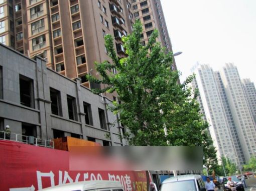 ¾²°²Êï¹âÑÅÔ· 2ÊÒ 1Ìü 82.65ƽÃ×