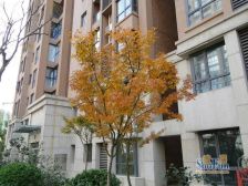 总价低位置好有大平台诚心出