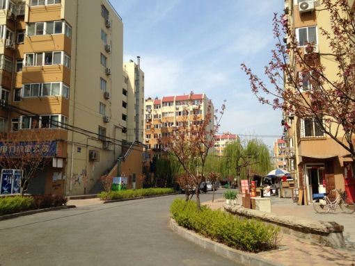 ÆßÁùдå1ÊÒ1ÎÀ¶«Äϳ¯Ïò950.00Ôª/Ô³ö×â