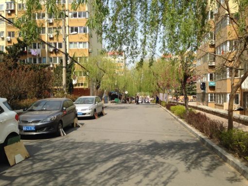 ÆßÁùдå2ÊÒ1Ìü1ÎÀÄϳ¯Ïò1500.00Ôª/Ô³ö×â