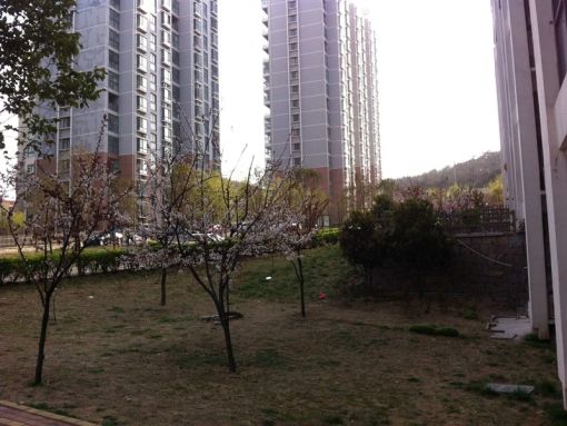 津盘凤凰都3室2厅2卫南朝向2200.00元/月出租