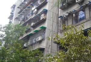 金沙巷12号2室2厅西南