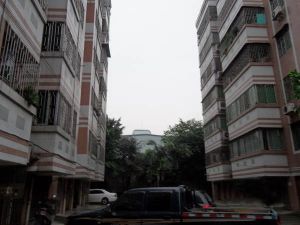 锦溢华庭3室2厅南
