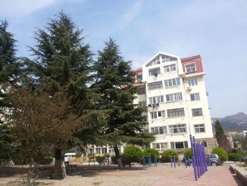 青大教职工宿舍3室1厅1卫南朝向2100.00元/月出租