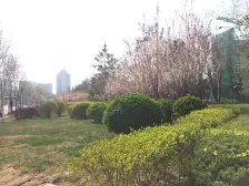 万象府 3室2厅 南 东 北