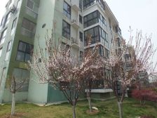 顶层复式 实用面积360平 欢迎实地看房,比照片更精致