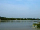 国家黄河湿地保护区