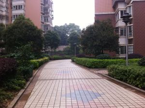 鑫天芙蓉3室2厅南北