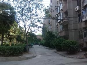科大社区2室1厅南