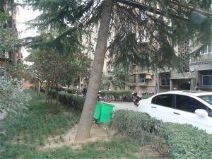 周山森林公园双气好采光商品房看房方便