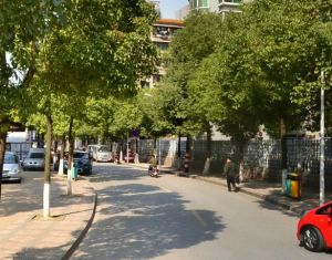 龙柏社区3室2厅南