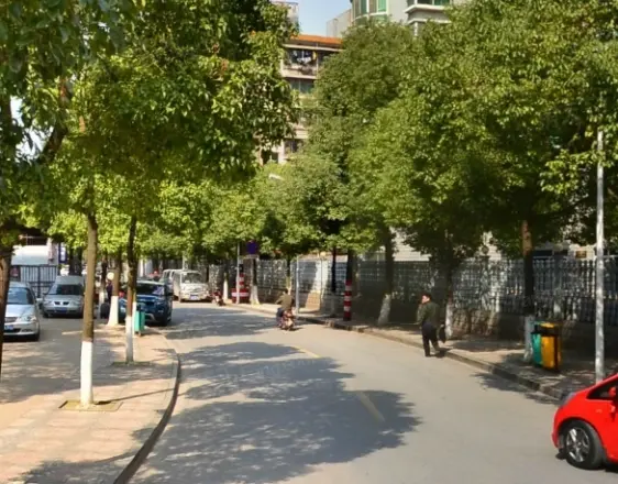 龙柏小区