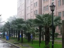 房子好楼层,满五唯一,物美价廉,房东诚心出售