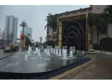 法蓝西莊邸枫丹里 5室2厅 东南