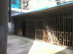 宝善·体育场路260号·2室·1厅