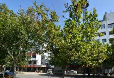 关庄 2室1厅 东 西