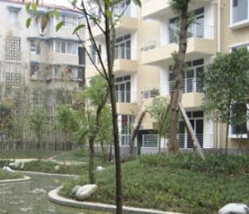 宏得紫竹苑 2室1厅 东南