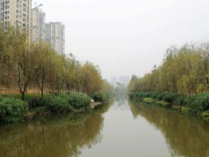 东域龙湾一期2室1厅东南