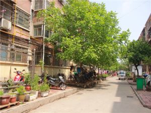 嵩山路付27号院 2室2厅 南 北