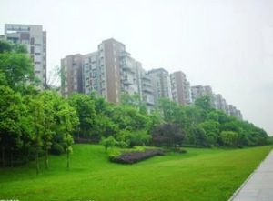 新装三室家电齐全可拎包入住,看中价可议。