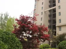 圣菲城60万精装双气大三居 地暖 中秧空调 拎包入住