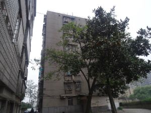 锻压小区2室2厅南北