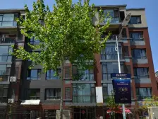 楼层低 南北通厅 视野开阔 采光好 精装拎包住