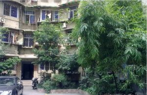 晓初公寓(金牛)3室2厅南